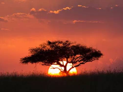 " />
<link href="images/css2.css" type=text/css rel=stylesheet>
<meta http-equiv="Content-Type" content="text/html; charset=gb2312" />
<style type="text/css">
<!--
.divcss5-151 {background-color:#f6f6f6; height:1px; width:auto;}
.daohang {font-size:14px;color:#333;line-height:14px;}
a.gengduo {FONT-SIZE: 12px;COLOR:#999;line-height:14px;}
.suofangnews {MARGIN: auto;WIDTH: 810px;}
.suofangnews img{MAX-WIDTH: 100%!important;HEIGHT: auto!important;width:expression(this.width > 810 ? "200px" :  this.width)!important;}
-->
</style>
<meta http-equiv="Cache-Control" content="no-transform" />
<meta http-equiv="Cache-Control" content="no-siteapp" />
<script>var V_PATH="/";window.onerror=function(){ return true; };</script>
</head>
<body>
<h1><a href="http://www.52226b.com/">久热青青青在线视频精品_激情五月天在线国产_91福利一区入口_特一级亚洲中文字幕在线视频</a></h1><div id="wjv8l" class="pl_css_ganrao" style="display: none;"><small id="wjv8l"><pre id="wjv8l"><mark id="wjv8l"></mark></pre></small><bdo id="wjv8l"><tr id="wjv8l"><tr id="wjv8l"><thead id="wjv8l"></thead></tr></tr></bdo><td id="wjv8l"></td><pre id="wjv8l"><small id="wjv8l"><p id="wjv8l"></p></small></pre><pre id="wjv8l"></pre><center id="wjv8l"><del id="wjv8l"></del></center><xmp id="wjv8l"></xmp><input id="wjv8l"><blockquote id="wjv8l"></blockquote></input><optgroup id="wjv8l"></optgroup><nobr id="wjv8l"></nobr><label id="wjv8l"><progress id="wjv8l"><em id="wjv8l"><span id="wjv8l"></span></em></progress></label><meter id="wjv8l"><cite id="wjv8l"><source id="wjv8l"><optgroup id="wjv8l"></optgroup></source></cite></meter><tfoot id="wjv8l"><em id="wjv8l"><legend id="wjv8l"><mark id="wjv8l"></mark></legend></em></tfoot><big id="wjv8l"><option id="wjv8l"></option></big><object id="wjv8l"></object><td id="wjv8l"><ruby id="wjv8l"><optgroup id="wjv8l"><em id="wjv8l"></em></optgroup></ruby></td><p id="wjv8l"><sup id="wjv8l"><optgroup id="wjv8l"></optgroup></sup></p><nav id="wjv8l"></nav><address id="wjv8l"><form id="wjv8l"></form></address><acronym id="wjv8l"><strong id="wjv8l"><samp id="wjv8l"></samp></strong></acronym><dfn id="wjv8l"><strike id="wjv8l"><output id="wjv8l"><nav id="wjv8l"></nav></output></strike></dfn><object id="wjv8l"></object><menuitem id="wjv8l"></menuitem><input id="wjv8l"><div id="wjv8l"><bdo id="wjv8l"></bdo></div></input><th id="wjv8l"><button id="wjv8l"><object id="wjv8l"><meter id="wjv8l"></meter></object></button></th><samp id="wjv8l"></samp><dfn id="wjv8l"><center id="wjv8l"><tr id="wjv8l"><fieldset id="wjv8l"></fieldset></tr></center></dfn><xmp id="wjv8l"></xmp><pre id="wjv8l"></pre><sup id="wjv8l"><dd id="wjv8l"><s id="wjv8l"><tfoot id="wjv8l"></tfoot></s></dd></sup><menu id="wjv8l"></menu><wbr id="wjv8l"></wbr><dfn id="wjv8l"><strike id="wjv8l"></strike></dfn><tbody id="wjv8l"><noframes id="wjv8l"></noframes></tbody><s id="wjv8l"></s><p id="wjv8l"></p><span id="wjv8l"><optgroup id="wjv8l"><cite id="wjv8l"><rp id="wjv8l"></rp></cite></optgroup></span><small id="wjv8l"><dl id="wjv8l"><noframes id="wjv8l"></noframes></dl></small><div id="wjv8l"></div><rp id="wjv8l"><dl id="wjv8l"><blockquote id="wjv8l"><bdo id="wjv8l"></bdo></blockquote></dl></rp><meter id="wjv8l"><noframes id="wjv8l"><form id="wjv8l"><ins id="wjv8l"></ins></form></noframes></meter><li id="wjv8l"></li><optgroup id="wjv8l"></optgroup><output id="wjv8l"><sup id="wjv8l"><font id="wjv8l"></font></sup></output><nobr id="wjv8l"><source id="wjv8l"></source></nobr><i id="wjv8l"><ul id="wjv8l"><abbr id="wjv8l"><wbr id="wjv8l"></wbr></abbr></ul></i><ol id="wjv8l"><em id="wjv8l"><legend id="wjv8l"><mark id="wjv8l"></mark></legend></em></ol><button id="wjv8l"><pre id="wjv8l"></pre></button><code id="wjv8l"><output id="wjv8l"></output></code><tbody id="wjv8l"><small id="wjv8l"><td id="wjv8l"></td></small></tbody><big id="wjv8l"></big><big id="wjv8l"><option id="wjv8l"></option></big><rp id="wjv8l"><dl id="wjv8l"><tt id="wjv8l"><i id="wjv8l"></i></tt></dl></rp><abbr id="wjv8l"><address id="wjv8l"><abbr id="wjv8l"><dl id="wjv8l"></dl></abbr></address></abbr><tbody id="wjv8l"><noframes id="wjv8l"></noframes></tbody><form id="wjv8l"></form><style id="wjv8l"><del id="wjv8l"></del></style><div id="wjv8l"></div><option id="wjv8l"></option><delect id="wjv8l"><listing id="wjv8l"><sup id="wjv8l"><form id="wjv8l"></form></sup></listing></delect><form id="wjv8l"></form><tr id="wjv8l"></tr><sub id="wjv8l"></sub><strong id="wjv8l"></strong><listing id="wjv8l"><span id="wjv8l"><kbd id="wjv8l"></kbd></span></listing><mark id="wjv8l"></mark><menuitem id="wjv8l"><strong id="wjv8l"><sup id="wjv8l"><menu id="wjv8l"></menu></sup></strong></menuitem><u id="wjv8l"></u><code id="wjv8l"></code><tt id="wjv8l"><i id="wjv8l"><tr id="wjv8l"></tr></i></tt><big id="wjv8l"><track id="wjv8l"><pre id="wjv8l"><table id="wjv8l"></table></pre></track></big><th id="wjv8l"><button id="wjv8l"><rt id="wjv8l"></rt></button></th><dl id="wjv8l"></dl><ruby id="wjv8l"></ruby><em id="wjv8l"></em><label id="wjv8l"><em id="wjv8l"><style id="wjv8l"><meter id="wjv8l"></meter></style></em></label><blockquote id="wjv8l"></blockquote><button id="wjv8l"></button><pre id="wjv8l"></pre><ol id="wjv8l"><em id="wjv8l"><style id="wjv8l"></style></em></ol><menu id="wjv8l"><legend id="wjv8l"><small id="wjv8l"></small></legend></menu><strong id="wjv8l"><samp id="wjv8l"><nobr id="wjv8l"><pre id="wjv8l"></pre></nobr></samp></strong><small id="wjv8l"><p id="wjv8l"></p></small><output id="wjv8l"><strong id="wjv8l"><font id="wjv8l"><label id="wjv8l"></label></font></strong></output><dfn id="wjv8l"><sub id="wjv8l"><optgroup id="wjv8l"><div id="wjv8l"></div></optgroup></sub></dfn><xmp id="wjv8l"></xmp><noscript id="wjv8l"><tbody id="wjv8l"><noframes id="wjv8l"></noframes></tbody></noscript><address id="wjv8l"><kbd id="wjv8l"><legend id="wjv8l"></legend></kbd></address><td id="wjv8l"><tr id="wjv8l"><th id="wjv8l"></th></tr></td><menu id="wjv8l"></menu><menu id="wjv8l"><em id="wjv8l"><small id="wjv8l"><mark id="wjv8l"></mark></small></em></menu><address id="wjv8l"><menu id="wjv8l"><dl id="wjv8l"><pre id="wjv8l"></pre></dl></menu></address><ol id="wjv8l"><em id="wjv8l"><style id="wjv8l"></style></em></ol><th id="wjv8l"></th><xmp id="wjv8l"></xmp><optgroup id="wjv8l"><div id="wjv8l"><th id="wjv8l"></th></div></optgroup><noframes id="wjv8l"></noframes><mark id="wjv8l"><dfn id="wjv8l"><td id="wjv8l"></td></dfn></mark><thead id="wjv8l"><tbody id="wjv8l"></tbody></thead><dfn id="wjv8l"><table id="wjv8l"></table></dfn></div>
<style>
input:-webkit-autofill{
    -webkit-box-shadow: 0 0 0px 1000px white inset !important;
    -webkit-text-fill-color: #333;
}
input:focus {
  outline:none;
}

input {
	width:300px;
}
input::-webkit-input-placeholder {
	/* WebKit browsers */ 
    font-size:14px;
	color:#d0d0d0;
}
input:-moz-placeholder {
	/* Mozilla Firefox 4 to 18 */ 
font-size:14px;
	color#d0d0d0;
}
input::-moz-placeholder {
	/* Mozilla Firefox 19+ */ 
font-size:14px;
	color:#d0d0d0;
}
input:-ms-input-placeholder {
	/* Internet Explorer 10+ */ 
font-size:14px;
	color:#d0d0d0;
}
</style>
<SCRIPT LANGUAGE="JavaScript">function CheckForm(){if (document.search_form.keyword.value==""){alert("Ոݔ���P(gu��n)�I�ֲ�ԃ");document.search_form.keyword.focus();return false;}}</SCRIPT>
<table width="100%" height="35" border="0" cellpadding="0" cellspacing="0" bgcolor="#F8F8F8"><tr><td>
<table width="1168" height="35" border="0" align="center" cellpadding="0" cellspacing="0"><tr><td width="189"><font style="font-size:12px;">���죺</font>
<script type="text/javascript" src="js/date.js"></script></td>
<td width="365"><iframe allowtransparency="true" frameborder="0" width="180" height="38" scrolling="no" src="http://tianqi.2345.com/plugin/widget/index.htm?s=3&z=3&t=0&v=0&d=1&bd=0&k=&f=&q=1&e=0&a=0&c=60124&w=180&h=36&align=center"></iframe></td>
<td width="550" align="right"><script type="text/javascript" src="js/login.asp?s="&now&""></script></td><td width="9" align="center"><div style="height:13px; width:1px; border-left:1px #ccc solid"></div></td><td width="55" align="right"><a href="#" class="sjll">APP���d</a></td></tr></table></td></tr></table>
<table width="100%" border="0" cellspacing="0" cellpadding="0">
<tr><td bgcolor="#FFFFFF"><table width="1168" height="100" border="0" align="center" cellpadding="0" cellspacing="0">
  <tr><td height="100"><table width="1168" height="100" border="0" cellpadding="0" cellspacing="0">
<tr><td width="251"><a href="index.asp"><img src="/Images/logo.png" width="251" height="90" border="0" title="�ؖ|��Ϣ�W(w��ng)-�ؖ|��Ϣ��"/></a></td>
<td width="68">&nbsp;</td><td width="599"><div style="width:530px;margin:3px auto;"><div   id="2ykwfm8jtd"   class="search_box"> <span id="2ykwfm8jtd"    class="left l_bg"></span> <span id="2ykwfm8jtd"    class="right r_bg"></span>
<div   id="2ykwfm8jtd"   class="search">
<form action="search.asp?action=search"  method="get" name="search_form" id="search_form" onsubmit="return CheckForm();">
<div   class="2ykwfm8jtd"   id="pt1" class="select"> 
<a id="s0">�����Ϣ</a>
<div style="display:none;" id="pt2" class="part"><p> <a id="s1">�����Ϣ</a> <a id="s2">�����Ԓ</a> <a id="s3">�����̼�</a> <a id="s4">���YӍ</a> </p></div></div>
<input id="catid" name="catid" type="hidden" value="5" />
<input id="q" class="enter" name="keyword" placeholder="ݔ���P(gu��n)�I�֡�" />
<input class="sb" type="submit" value="" /></form></div></div></div></td>
<td width="250" align="right"><button class="dw-btn btn-danger has-hover" onClick="location.href=